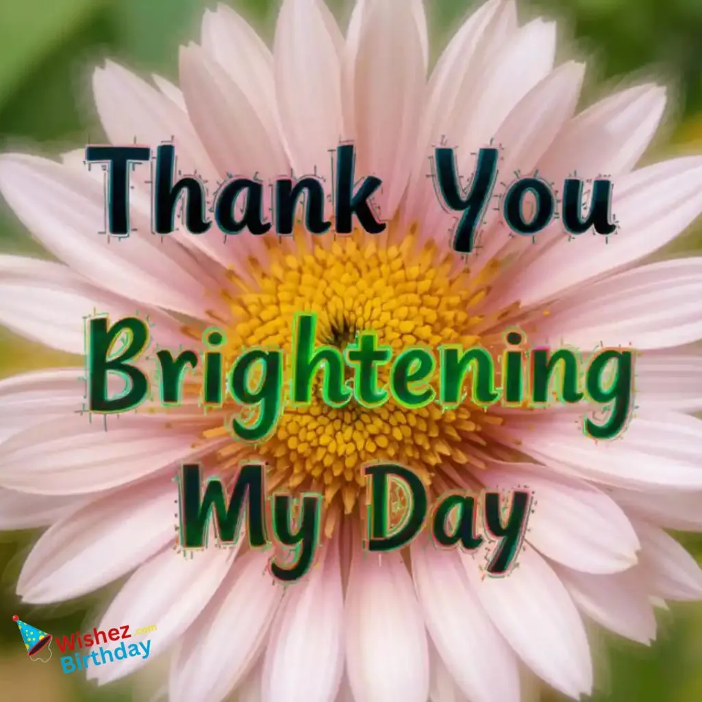Brightening My Day Heartwarming Way