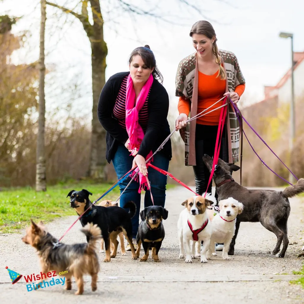 Thank You From Dog To Dog Sitter