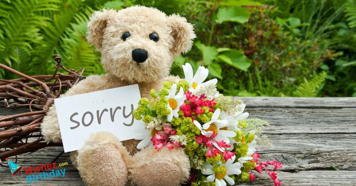 Apology Quotes For Hurting