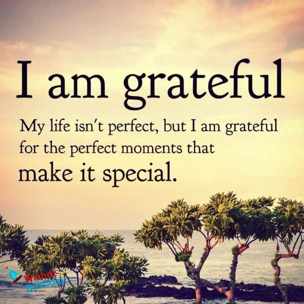 Forever Grateful Quotes To Show Appreciation In English