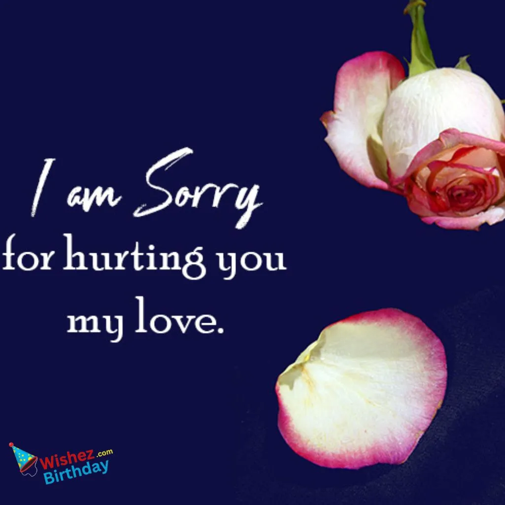 I Am Sorry For The Pain