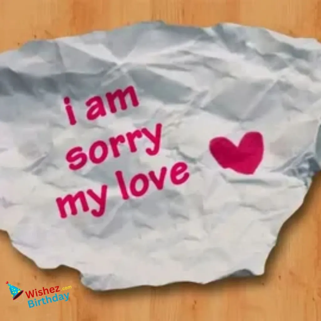 My Love I Am Sorry For Hurting You