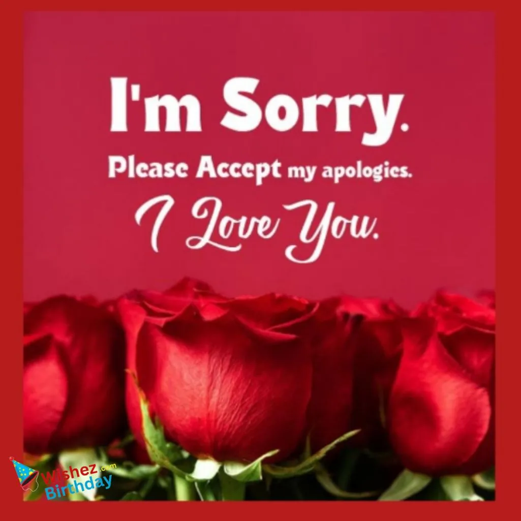 Sorry Quotes For Love