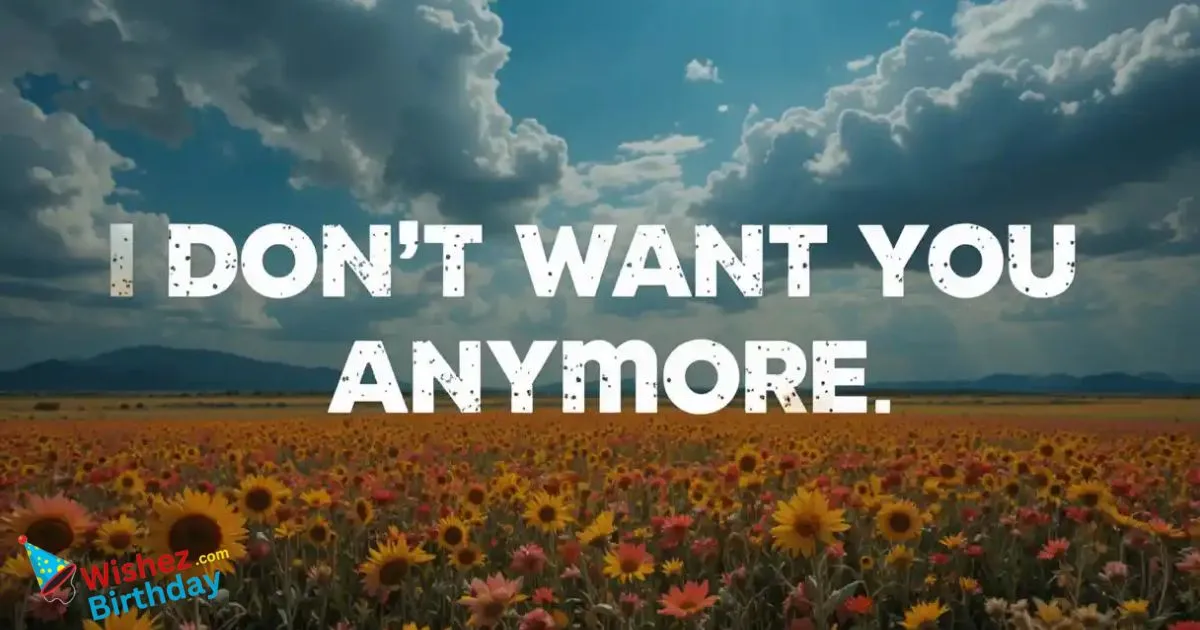 I Dont Want You Anymore Quotes