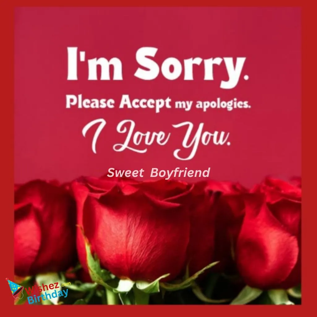 Sweet Sorry Messages For Boyfriend